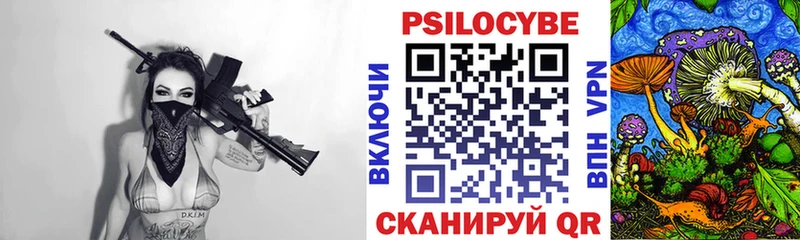 где продают наркотики  Починок  Псилоцибиновые грибы Psilocybe 